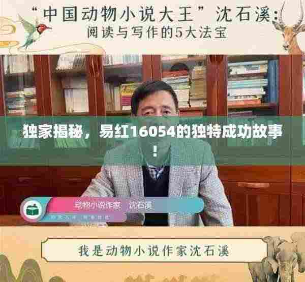 独家揭秘，易红16054的独特成功故事！