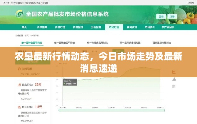 农垦最新行情动态,今日市场走势及最新消息速递