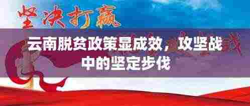 云南脱贫政策显成效,攻坚战中的坚定步伐