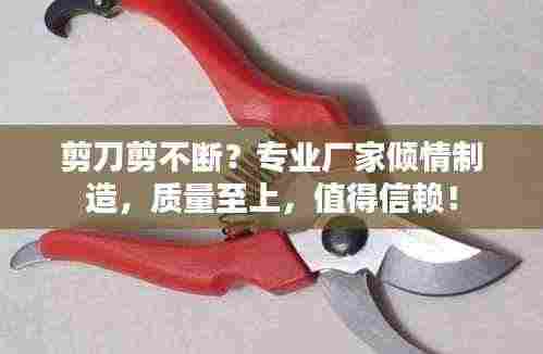 剪刀剪不断?专业厂家倾情制造,质量至上,值得信赖!