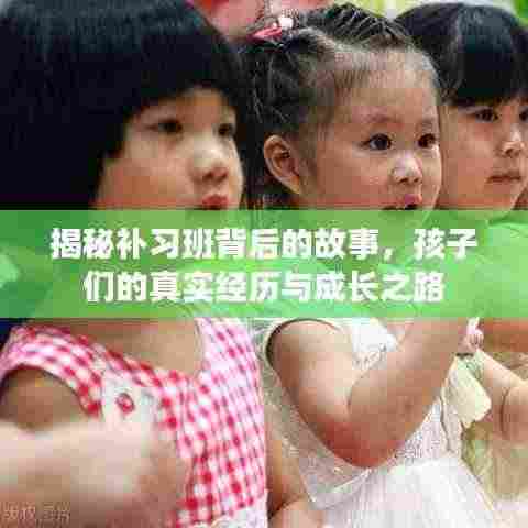 揭秘补习班背后的故事,孩子们的真实经历与成长之路