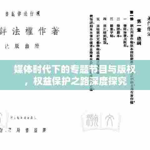 媒体时代下的专题节目与版权,权益保护之路深度探究