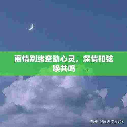 离情别绪牵动心灵，深情扣弦唤共鸣