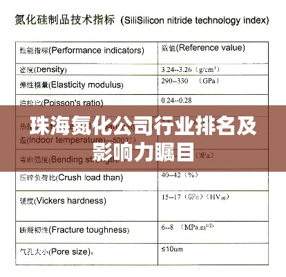 珠海氮化公司行业排名及影响力瞩目