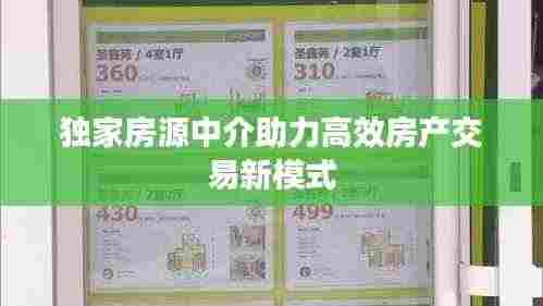 独家房源中介助力高效房产交易新模式