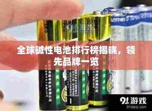 全球碱性电池排行榜揭晓,领先品牌一览