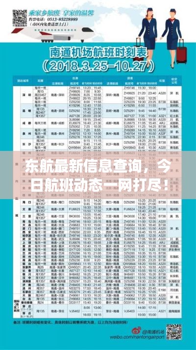 东航最新信息查询,今日航班动态一网打尽!