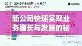 新公司快速实现业务增长与发展的秘诀！