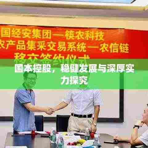 国本控股,稳健发展与深厚实力探究
