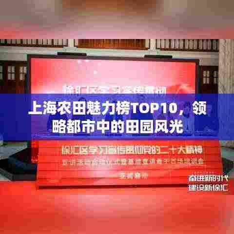 上海农田魅力榜TOP10,领略都市中的田园风光