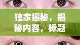 独家揭秘,揭秘内容,标题吸引眼球!
