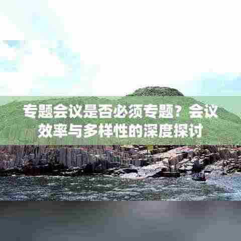 专题会议是否必须专题？会议效率与多样性的深度探讨