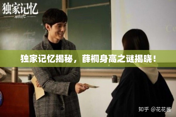 厂房环境 第155页