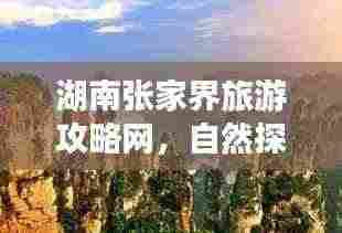 湖南张家界旅游攻略网，自然探索之旅，神秘体验之旅