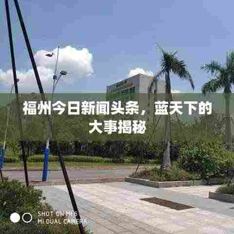 福州今日新闻头条,蓝天下的大事揭秘