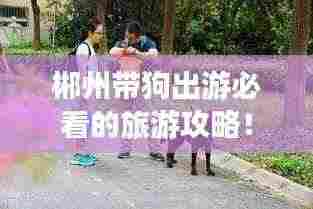 郴州带狗出游必看的旅游攻略!