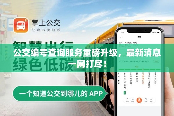 公交编号查询服务重磅升级，最新消息一网打尽！