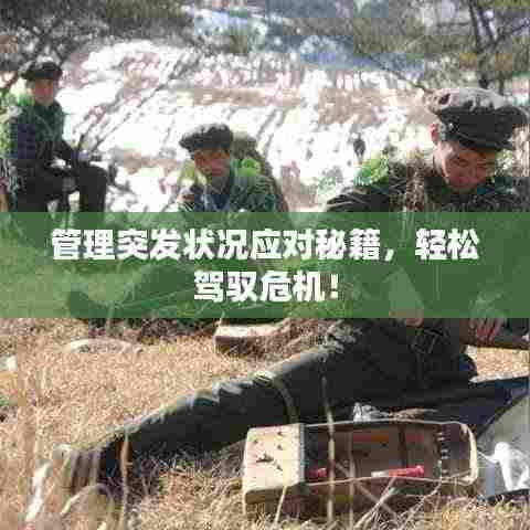 管理突发状况应对秘籍,轻松驾驭危机!