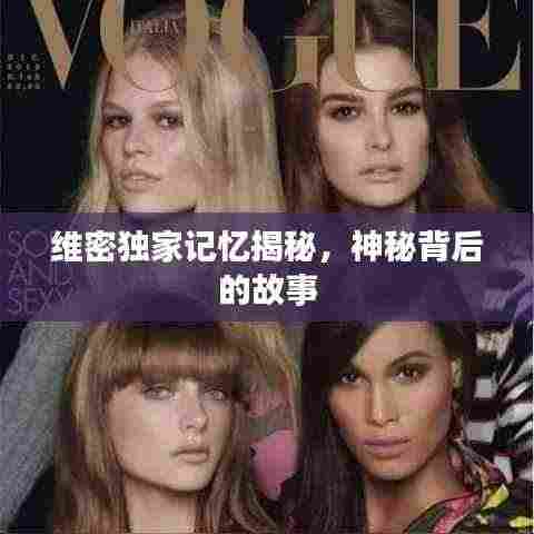 维密独家记忆揭秘,神秘背后的故事
