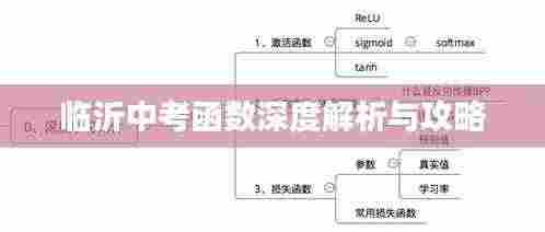 临沂中考函数深度解析与攻略