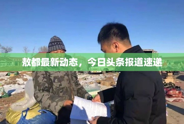 敖都最新动态，今日头条报道速递