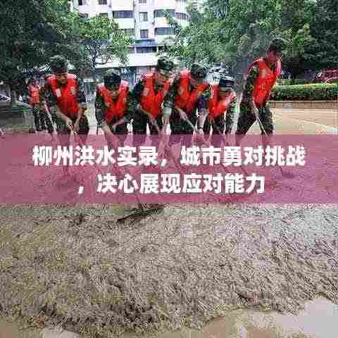 柳州洪水实录,城市勇对挑战,决心展现应对能力