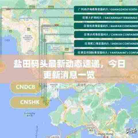 盐田码头最新动态速递,今日更新消息一览