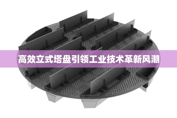 高效立式塔盘引领工业技术革新风潮