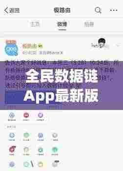 全民数据链App最新版下载,数字时代的极致体验探索