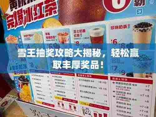 雪王抽奖攻略大揭秘，轻松赢取丰厚奖品！