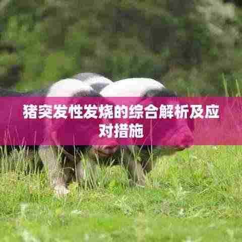 猪突发性发烧的综合解析及应对措施