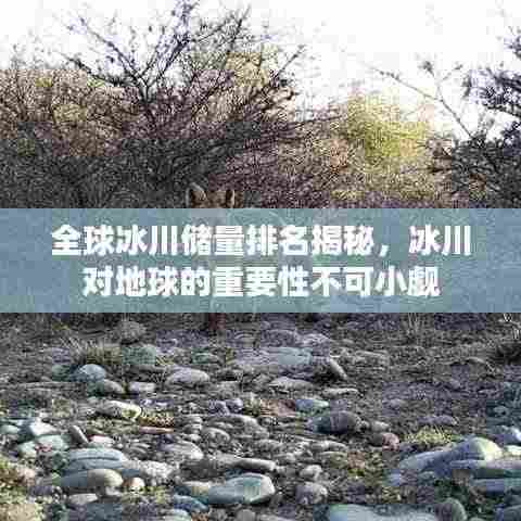 全球冰川储量排名揭秘，冰川对地球的重要性不可小觑