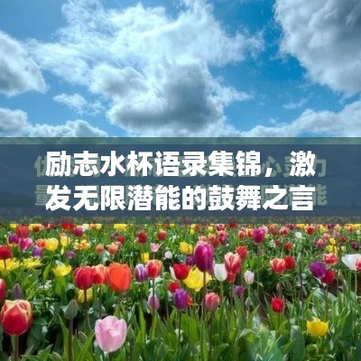 励志水杯语录集锦，激发无限潜能的鼓舞之言