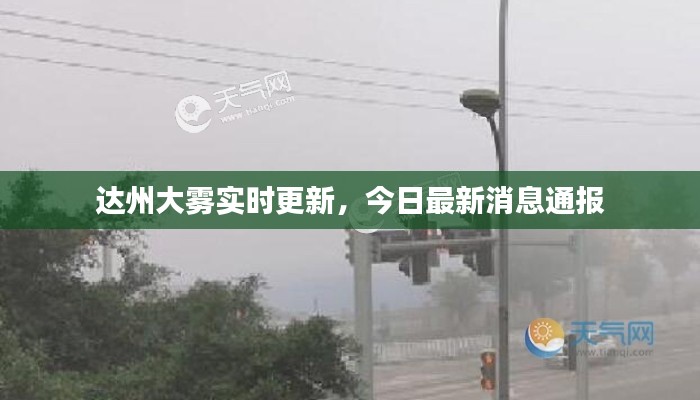 达州大雾实时更新,今日最新消息通报