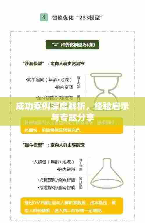 成功案例深度解析,经验启示与专题分享