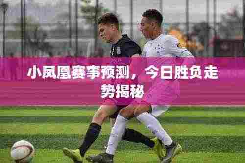 小凤凰赛事预测，今日胜负走势揭秘