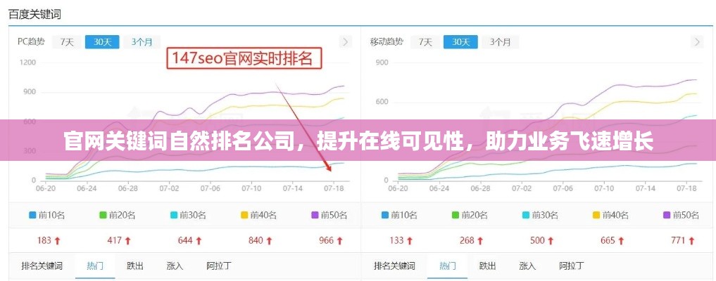 官网关键词自然排名公司,提升在线可见性,助力业务飞速增长