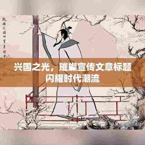兴国之光,璀璨宣传文章标题闪耀时代潮流