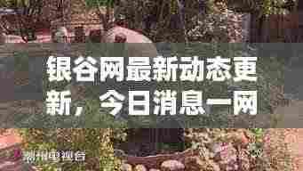 银谷网最新动态更新，今日消息一网打尽！