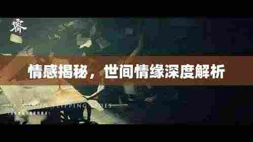 情感揭秘，世间情缘深度解析