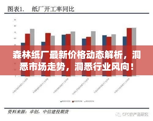 森林纸厂最新价格动态解析,洞悉市场走势,洞悉行业风向!