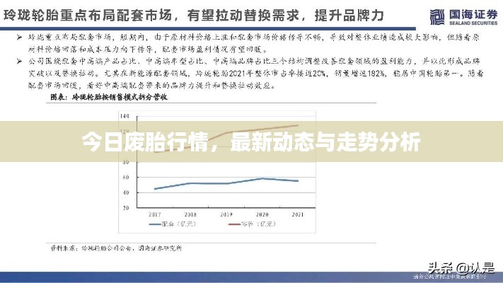 今日废胎行情，最新动态与走势分析