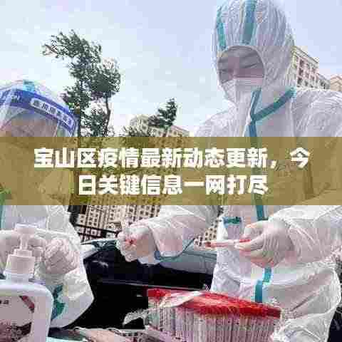 宝山区疫情最新动态更新,今日关键信息一网打尽